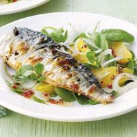 Grilled mackerel with orange, chilli & watercress salad image