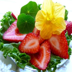 Strawberry-Nasturtium Salad image