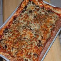 Spicy Pizza Sausage_image