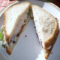 Awesome Turkey Sandwich_image