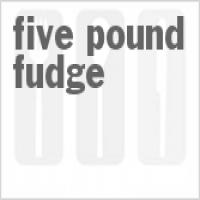 Five Pound Fudge_image