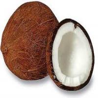 Coconut Cream Fruit Dip_image