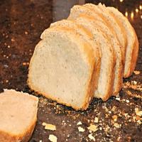 Sourdough Bread in Custom-Programmable Zo ABM image