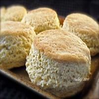 Fluffy Gluten-Free Biscuits image