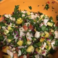 Conch Ceviche with Pineapple_image