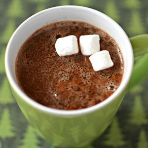 Minty Eggnog Hot Chocolate image