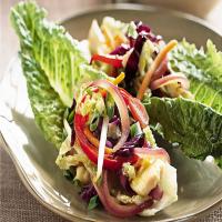 Pan-Asian Chicken and Vegetable Lettuce Wraps_image