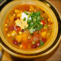 Spiced Mexican Squash Stew image
