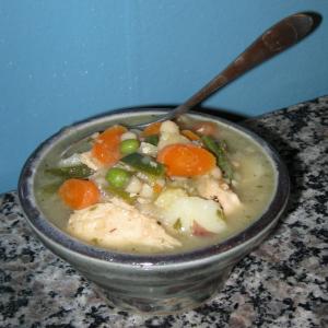 Vegetable Chicken Stew image