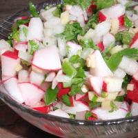 Christmas (Red, White and Green) Salsa_image