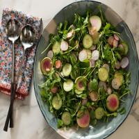 Spring Radish and Cucumber Salad image