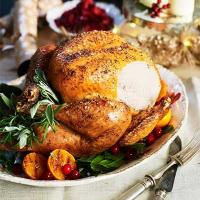 Roast turkey with lemon & garlic_image