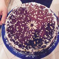 Chocolate Passover Sponge Cake_image