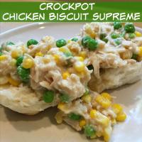 Crockpot Chicken Biscuit Supreme Recipe - (4.4/5) image