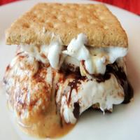 Chocolate Peanut Butter Indoor S'mores_image