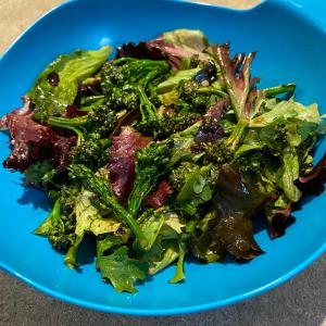 Winter Salad with Baby Greens and Broccolini_image