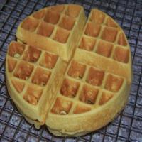 Coconut Flour Belgian Waffles Recipe - (4/5)_image
