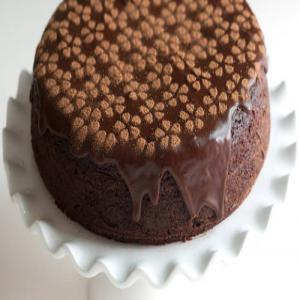Modern Chocolate-Raspberry Cake_image