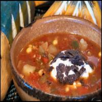 Mexican Vegetable Soup_image