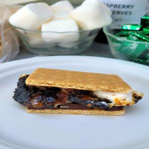 Raspberry-Mint-Chocolate S'mores image