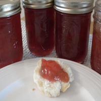 Rhubarb Jam - using freshTECH Jam & Jelly Maker Recipe - (3.7/5) image
