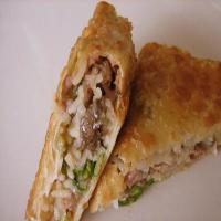 CUBAN STYLE EGG ROLLS WITH CHIMICHURRI SAUCE_image