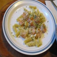 Garlicky Butter Shrimp on Rotini_image