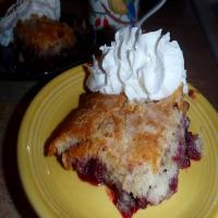 Blueberry Pudding Cake_image