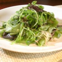 Lettuces, Sprouts and Snow Peas With Radish Water_image
