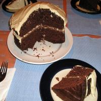 Spiced Chocolate Applesauce Cake image