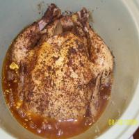 Rotisserie Style Chicken in the Crock Pot_image