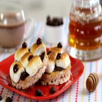 Gluten-Free S'mores_image