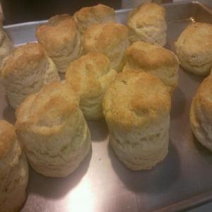 Homestyle Biscuits_image