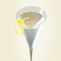 How to Make a Vodka Martini_image