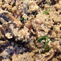 Quinoa with Mushrooms_image