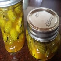 Pickled Cucumelon, Mexican Sour Gherkin image