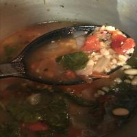 Rustic Italian Soup with Farro_image