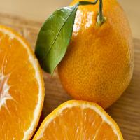 Rosemary Candied Orange Peel_image