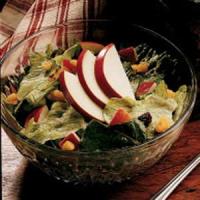 Quick Apple Lettuce Salad_image