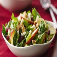 Celery and Apple Salad with Cider Vinaigrette image
