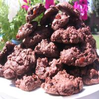 Chocolate Molasses Raisin Cookies image
