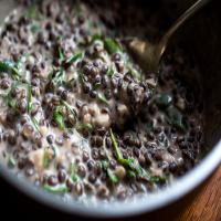 Warm Lentil Salad With Goat Cheese image