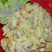 All-The-Fixins Curried Chicken Salad_image