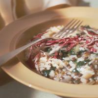 French Lentil and Swiss Chard Risotto_image