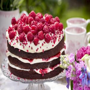 Chocolate Raspberry Layer Cake image
