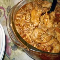 Mom's Chicken and Dumplings (Chicken Paprika)_image