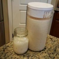 Horchata Made Easy_image