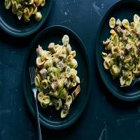 Orecchiette With Fennel and Sausage image