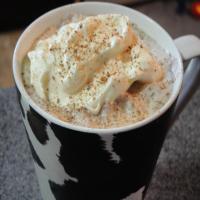 Tasty Testers Spicy Frozen Coffee_image