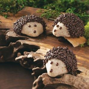 Chocolate-Pecan Hedgehog Cookies Recipe_image